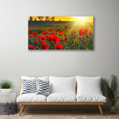 Canvas Wall art Meadow flowers nature red green