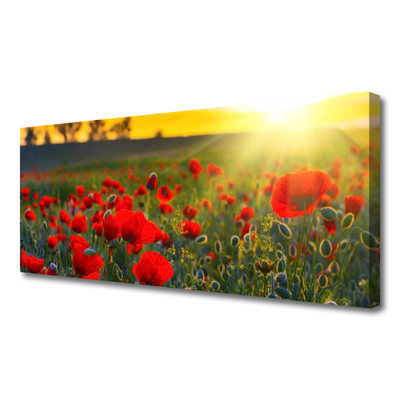 Canvas Wall art Meadow flowers nature red green