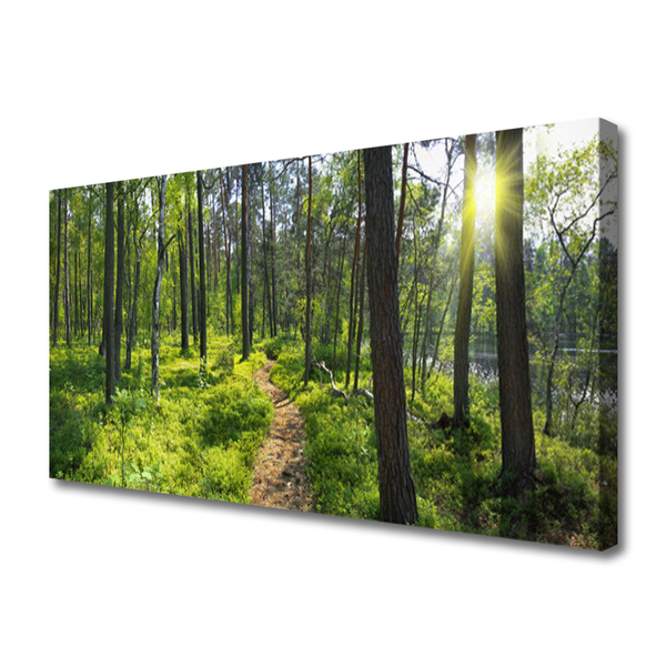 Canvas Wall art Forest nature brown green