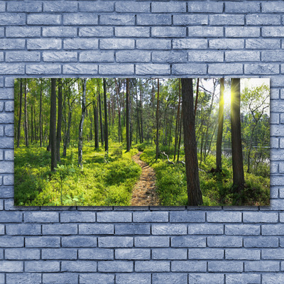 Canvas Wall art Forest nature brown green