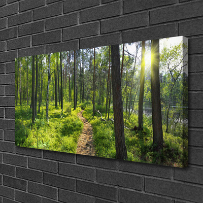 Canvas Wall art Forest nature brown green