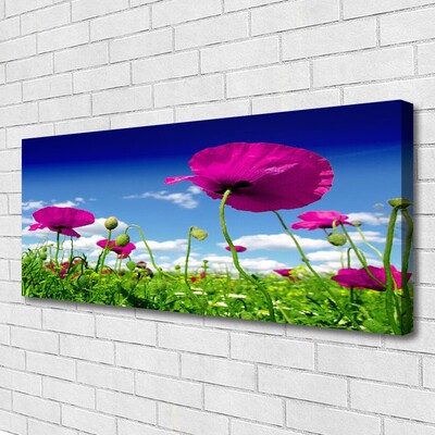 Canvas Wall art Meadow flowers nature red green