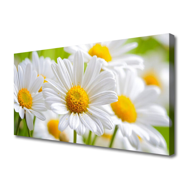 Canvas Wall art Daisy floral yellow white