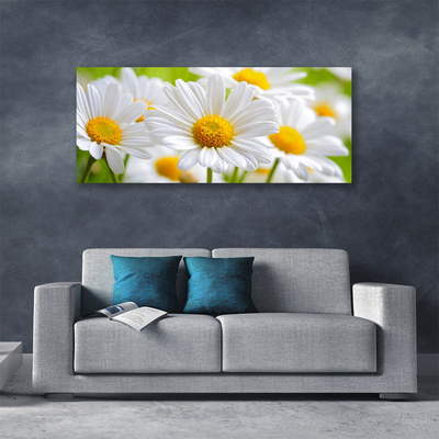 Canvas Wall art Daisy floral yellow white