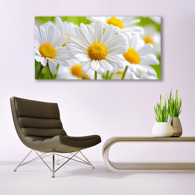 Canvas Wall art Daisy floral yellow white