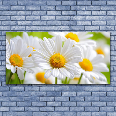 Canvas Wall art Daisy floral yellow white