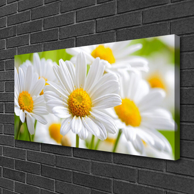 Canvas Wall art Daisy floral yellow white