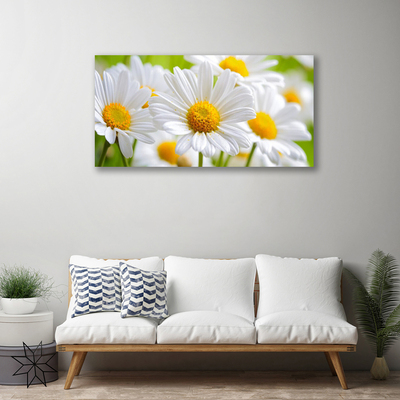 Canvas Wall art Daisy floral yellow white