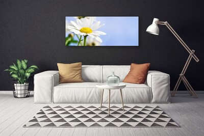 Canvas Wall art Daisy floral yellow white