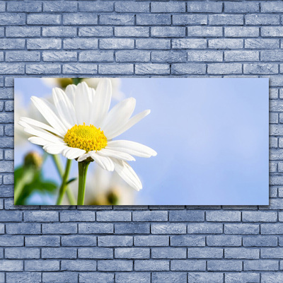 Canvas Wall art Daisy floral yellow white