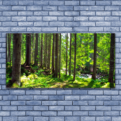 Canvas Wall art Forest nature brown green