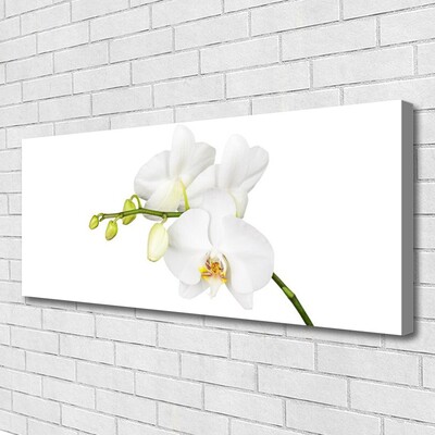 Canvas Wall art Flowers floral white