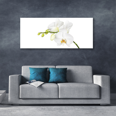 Canvas Wall art Flowers floral white