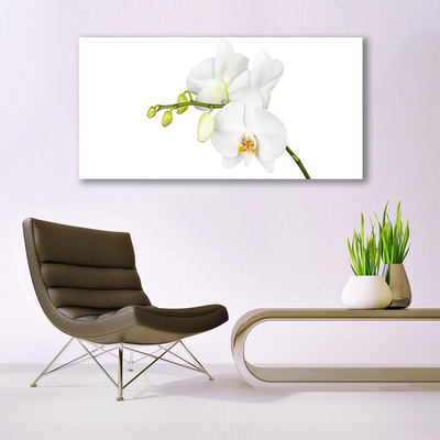 Canvas Wall art Flowers floral white