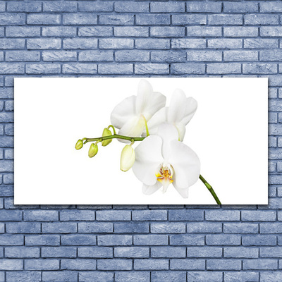 Canvas Wall art Flowers floral white