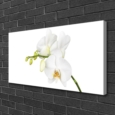 Canvas Wall art Flowers floral white