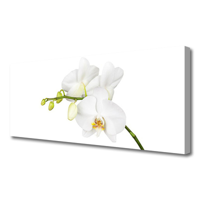 Canvas Wall art Flowers floral white