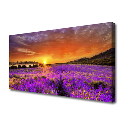 Canvas Wall art Sun meadow flowers nature yellow pink