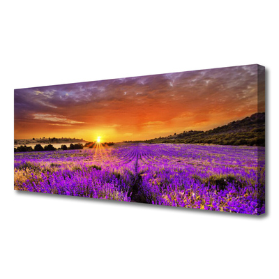 Canvas Wall art Sun meadow flowers nature yellow pink