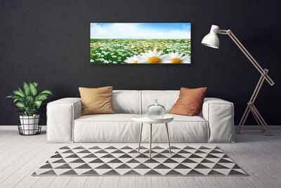 Canvas Wall art Meadow daisies floral green white yellow