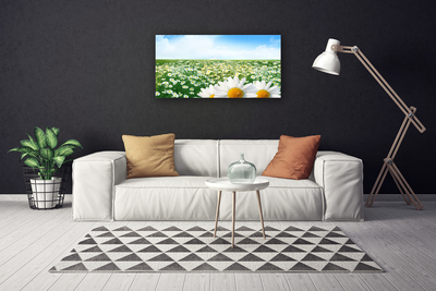 Canvas Wall art Meadow daisies floral green white yellow