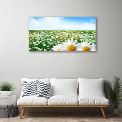 Canvas Wall art Meadow daisies floral green white yellow