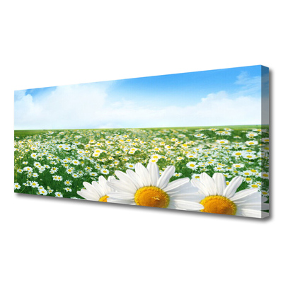 Canvas Wall art Meadow daisies floral green white yellow