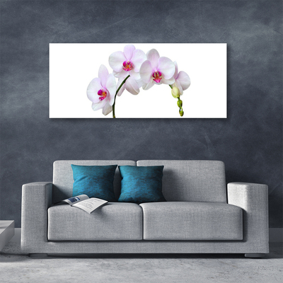 Canvas Wall art Flowers floral white pink