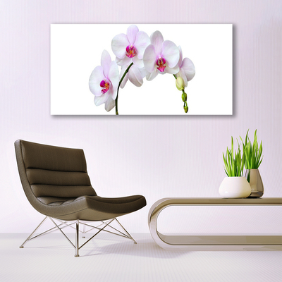 Canvas Wall art Flowers floral white pink