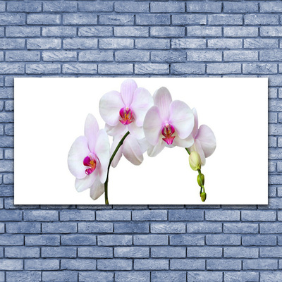 Canvas Wall art Flowers floral white pink