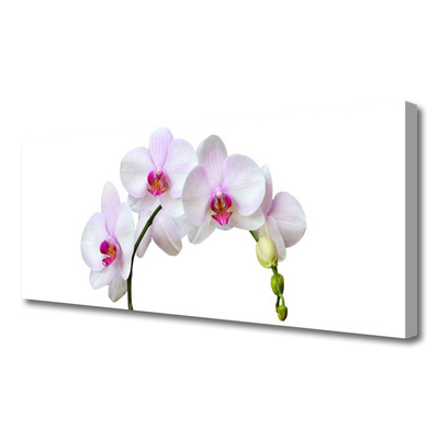 Canvas Wall art Flowers floral white pink