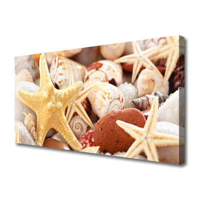 Canvas Wall art Seastar shells art yellow white brown