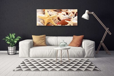 Canvas Wall art Seastar shells art yellow white brown