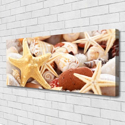 Canvas Wall art Seastar shells art yellow white brown