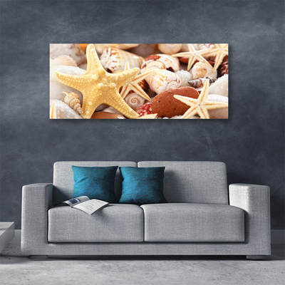 Canvas Wall art Seastar shells art yellow white brown