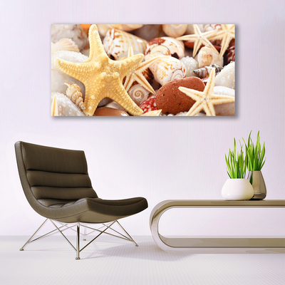 Canvas Wall art Seastar shells art yellow white brown