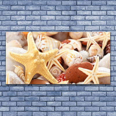 Canvas Wall art Seastar shells art yellow white brown