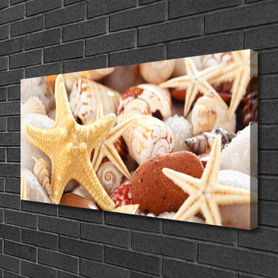 Canvas Wall art Seastar shells art yellow white brown