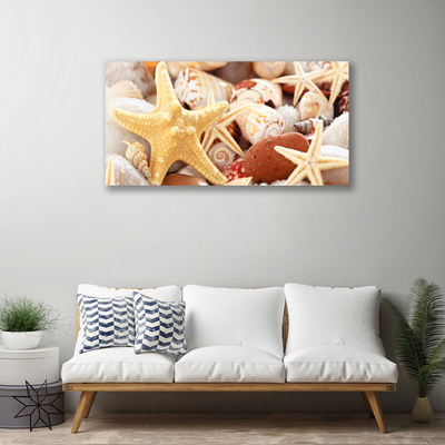 Canvas Wall art Seastar shells art yellow white brown