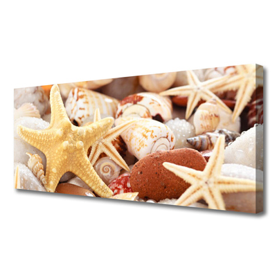 Canvas Wall art Seastar shells art yellow white brown