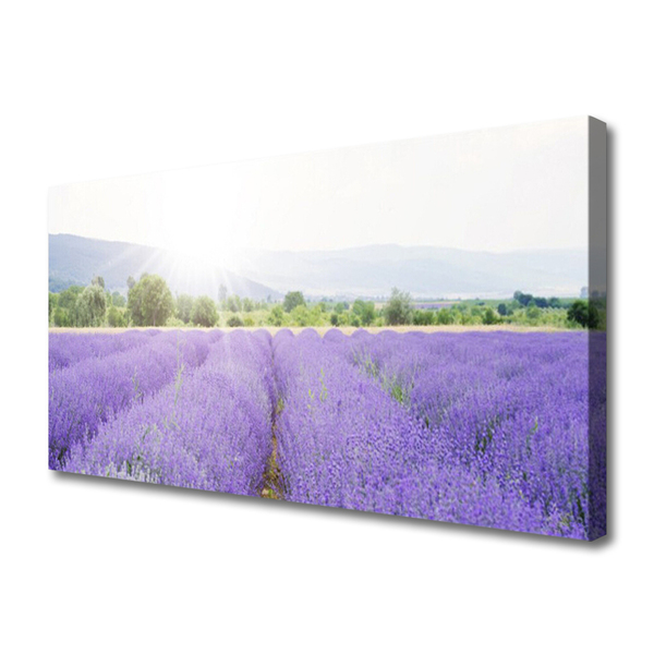 Canvas Wall art Meadow flowers nature purple