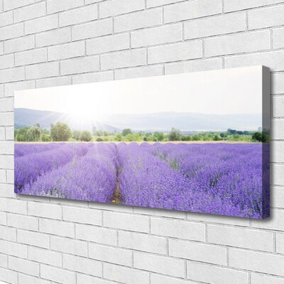 Canvas Wall art Meadow flowers nature purple