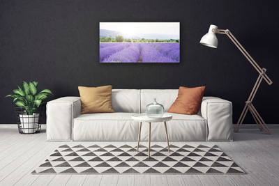 Canvas Wall art Meadow flowers nature purple