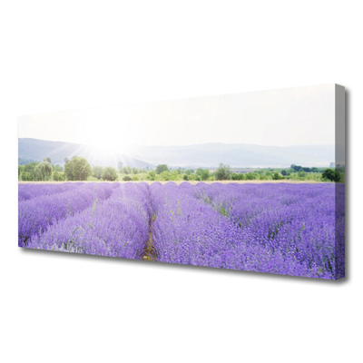 Canvas Wall art Meadow flowers nature purple