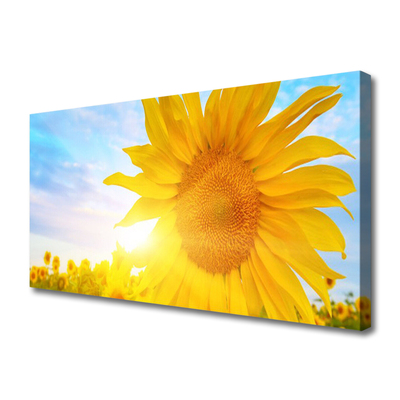 Canvas Wall art Sunflower floral yellow