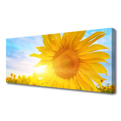 Canvas Wall art Sunflower floral yellow