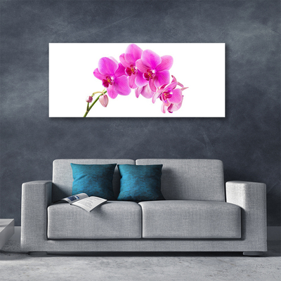 Canvas Wall art Flowers floral pink