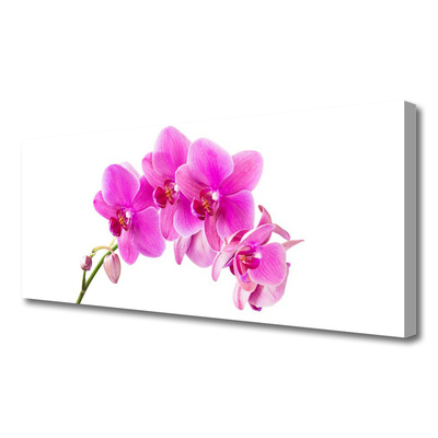 Canvas Wall art Flowers floral pink