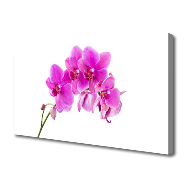 Canvas Wall art Flowers floral pink