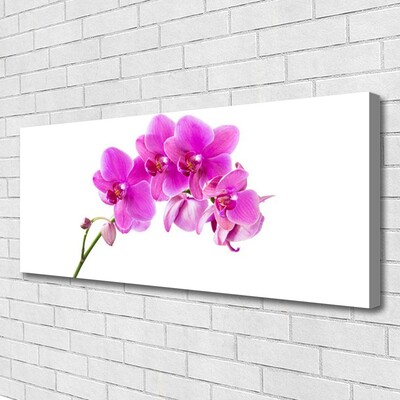 Canvas Wall art Flowers floral pink